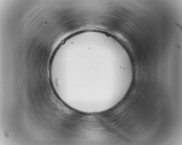 X0000102291280200808151944