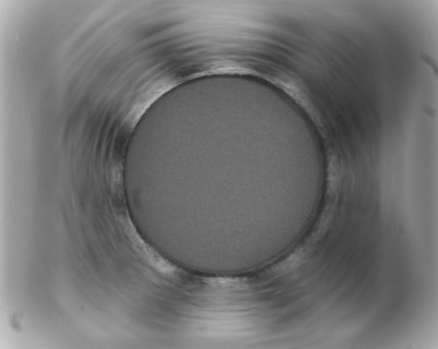 X0000102291281200808151944