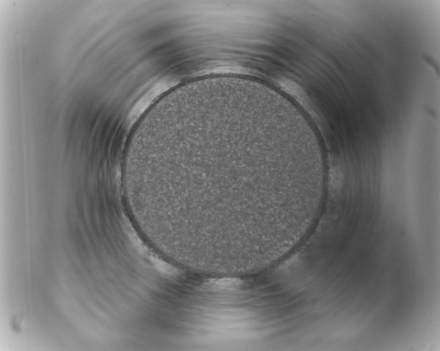 X0000102291282200808151944