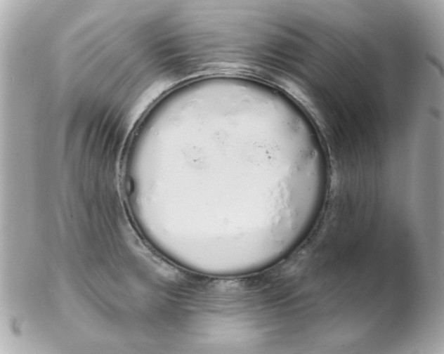 X0000102291283200808151944