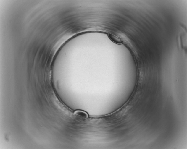 X0000102291284200808151944