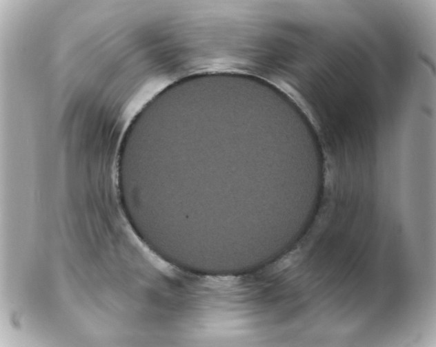 X0000102291285200808151944