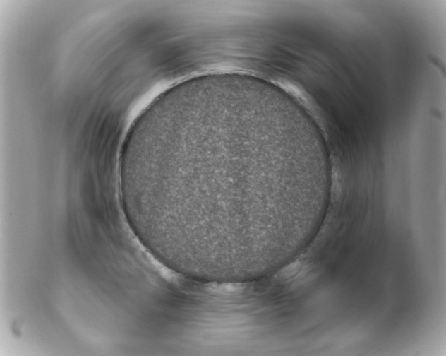 X0000102291286200808151944