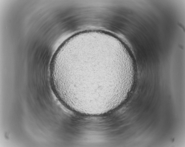 X0000102291287200808151944