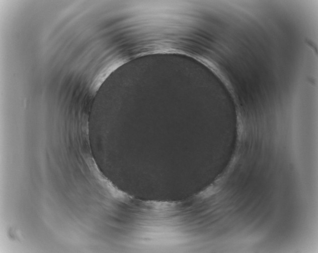 X0000102291289200808151944