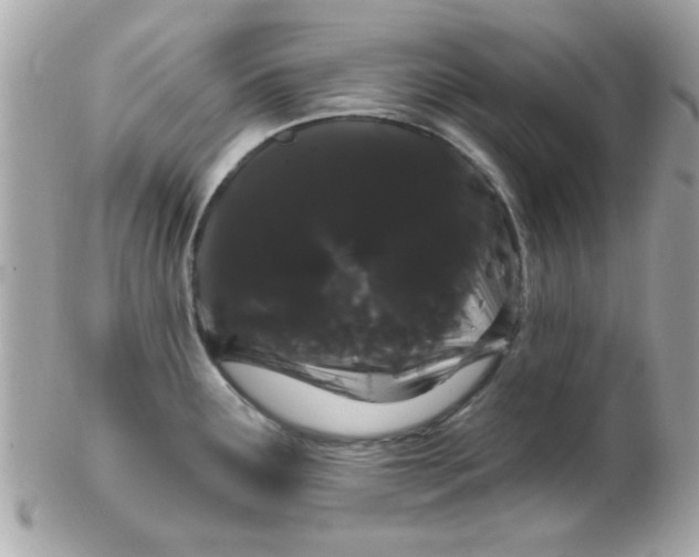 X0000102291291200808151944