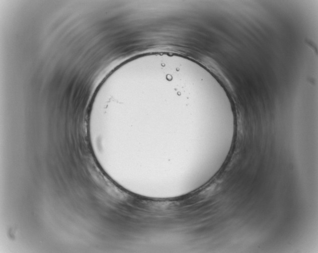 X0000102291292200808151944