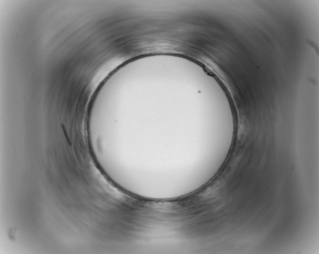 X0000102291293200808151944