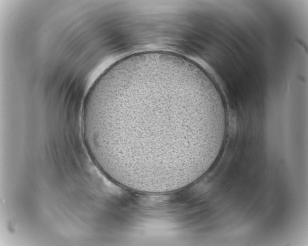 X0000102291294200808151944