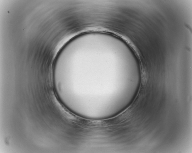 X0000102291295200808151944