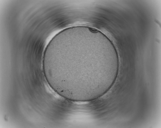 X0000102291296200808151944