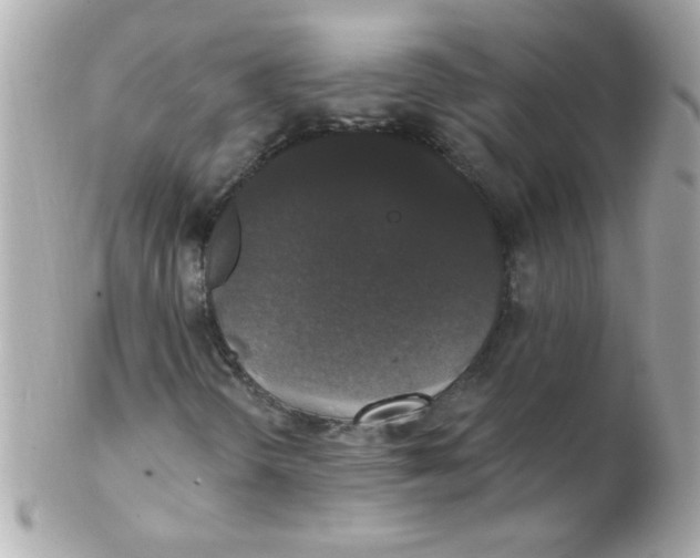 X0000102291298200808151943