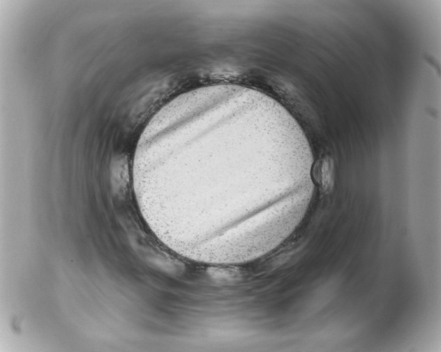 X0000102291299200808151943