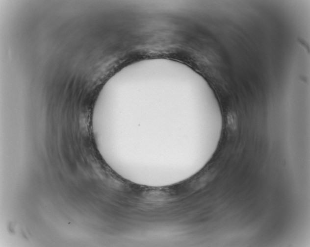 X0000102291300200808151943