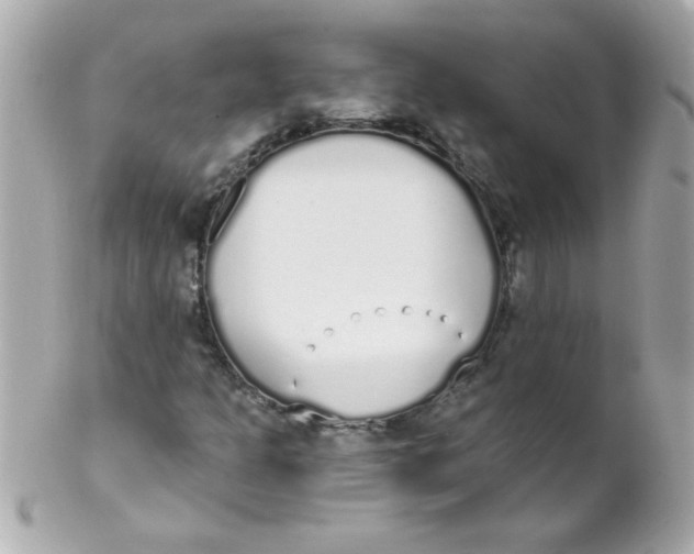 X0000102291301200808151943