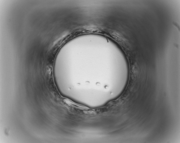 X0000102291302200808151943