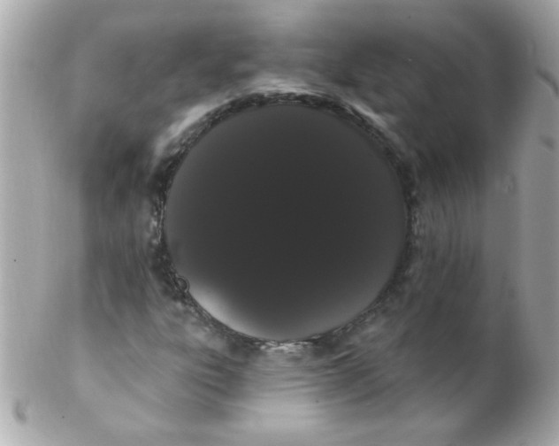 X0000102291303200808151943