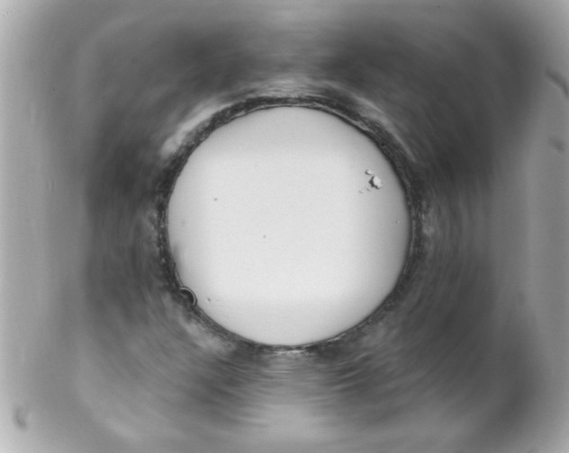 X0000102291304200808151943