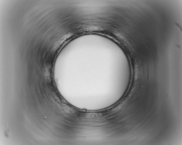 X0000102291305200808151943