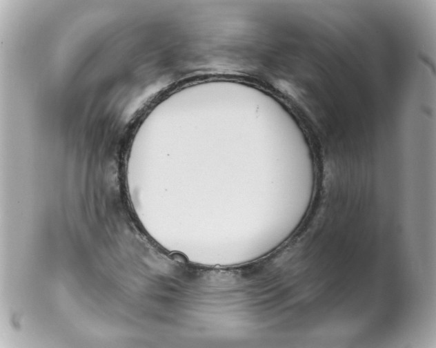 X0000102291307200808151943