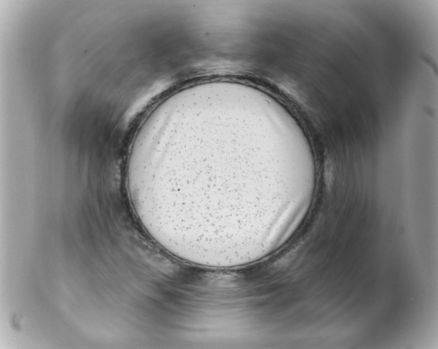 X0000102291309200808151943