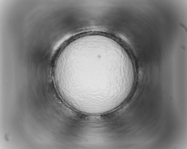 X0000102291310200808151943