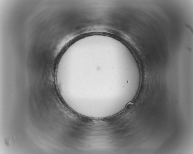 X0000102291312200808151943