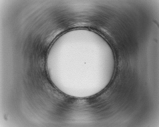 X0000102291313200808151943