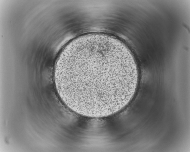 X0000102291314200808151943