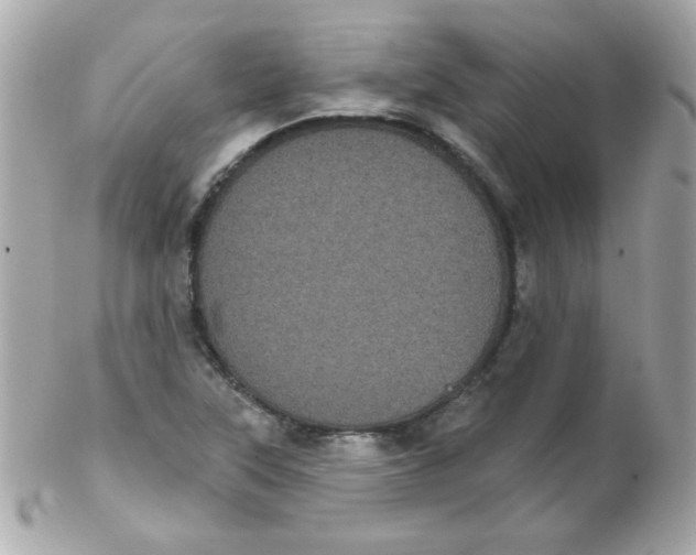 X0000102291315200808151943