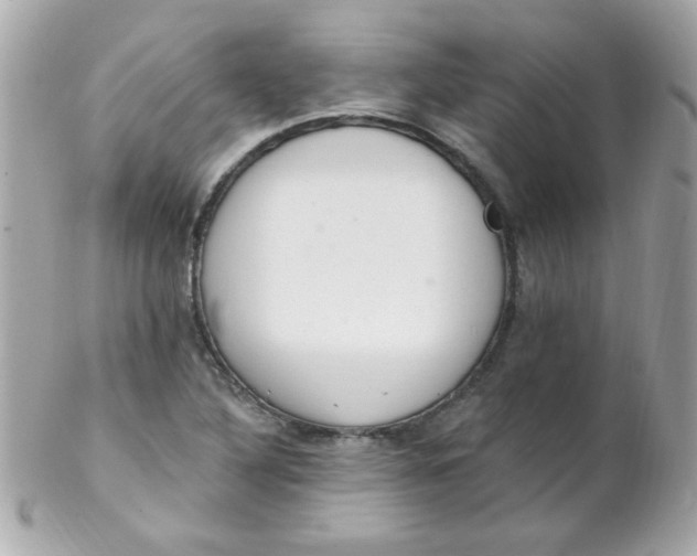 X0000102291316200808151943