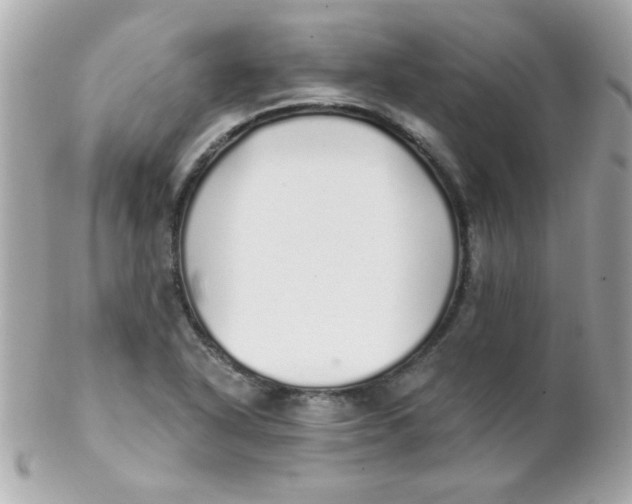 X0000102291318200808151943