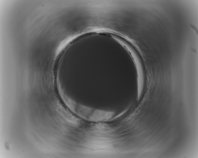 X0000102291319200808151943