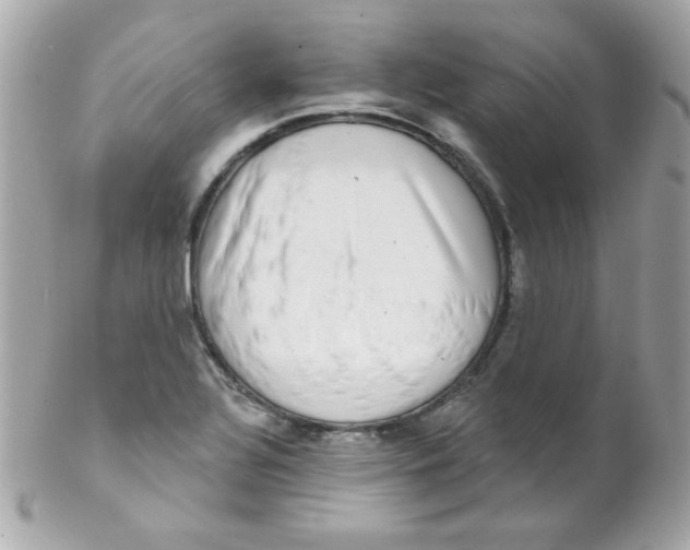 X0000102291320200808151943