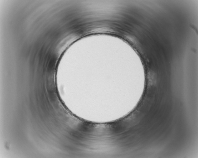 X0000102291322200808151943