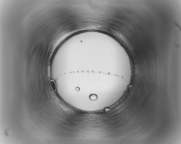 X0000102291324200808151943