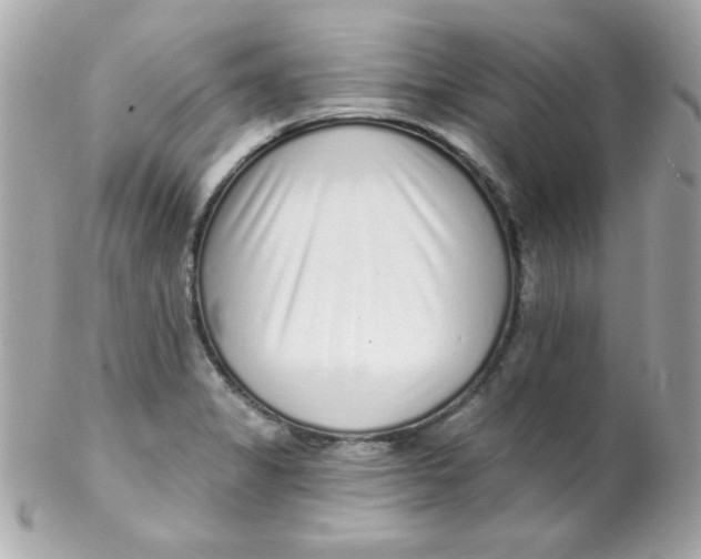 X0000102291325200808151943