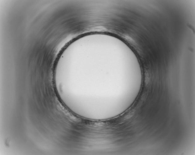 X0000102291326200808151943