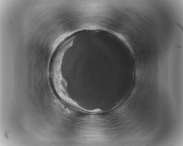 X0000102291327200808151943