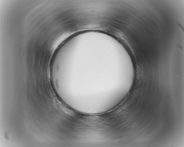 X0000102291328200808151943