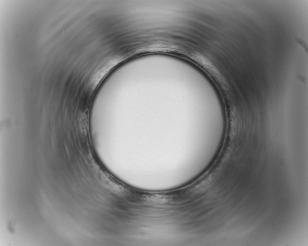 X0000102291329200808151943