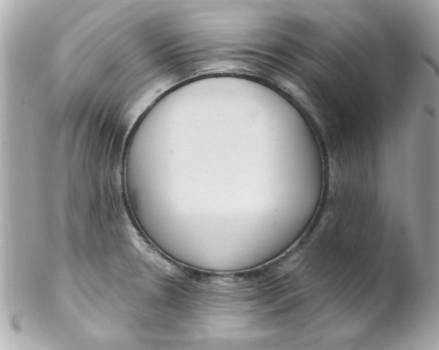 X0000102291330200808151943