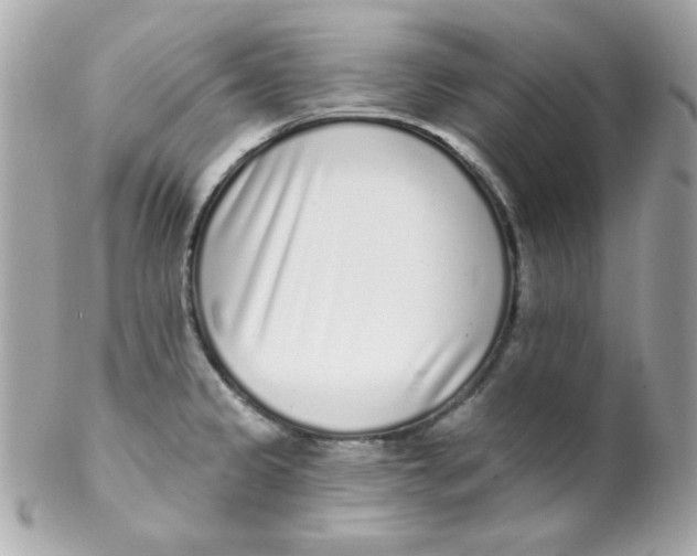 X0000102291333200808151943