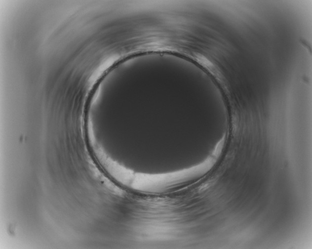 X0000102291334200808151943