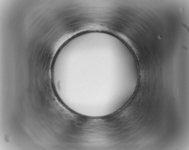 X0000102291335200808151943