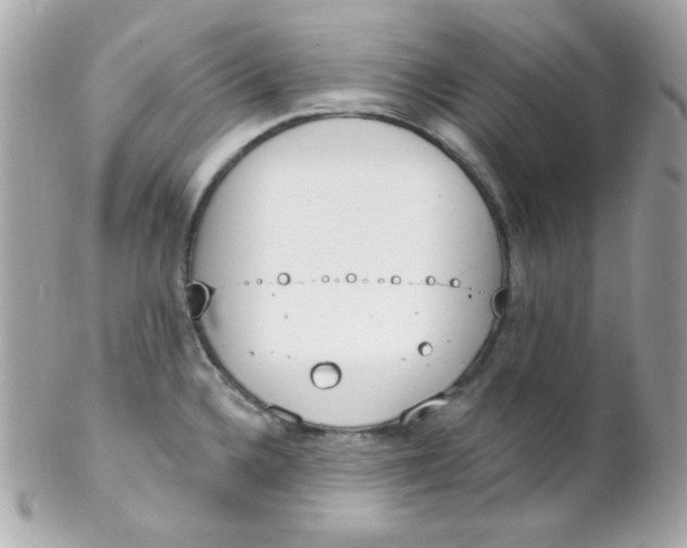 X0000102291336200808151943