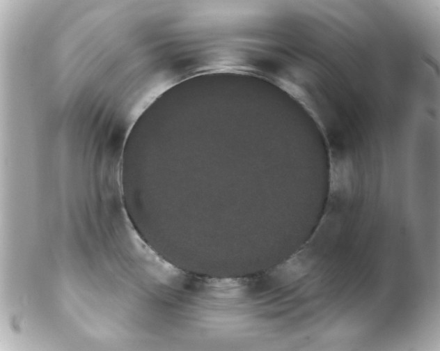 X0000102291338200808151943