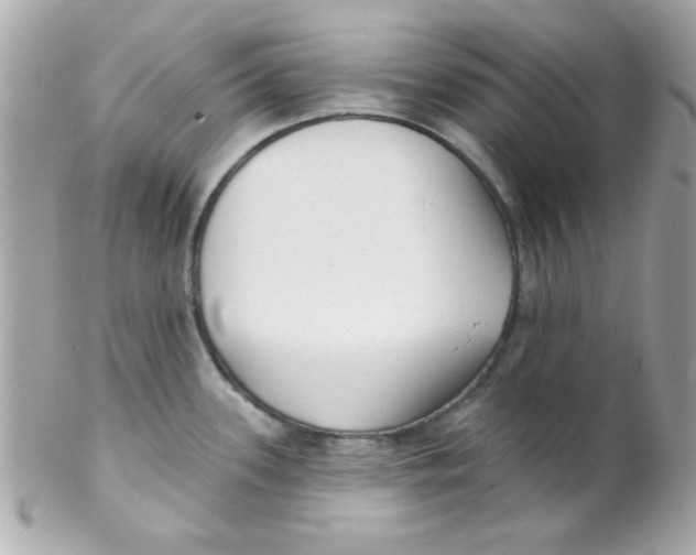 X0000102291339200808151943