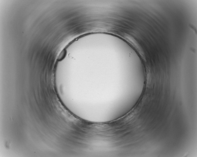 X0000102291340200808151943