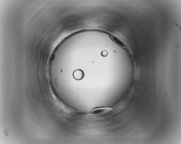 X0000102291342200808151944